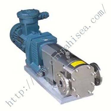 Rotary Lobe Pump (3RP) 