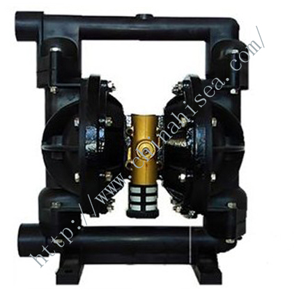 Pneumatic Diaphragm Pump