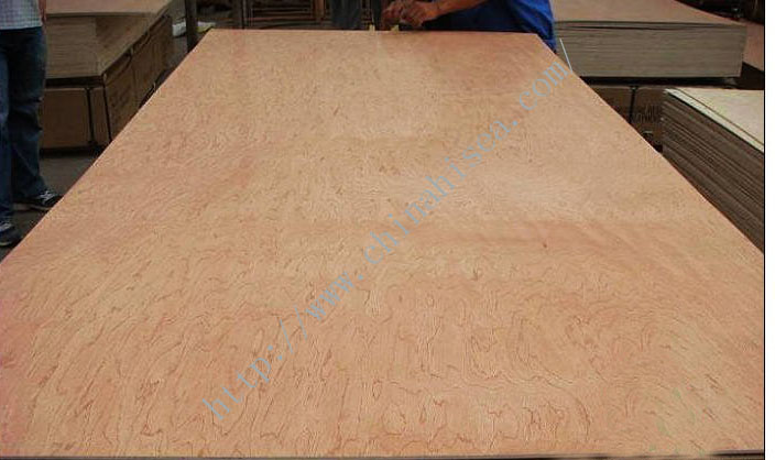 Widely Used PVC Plastic Concrete Plywood Template