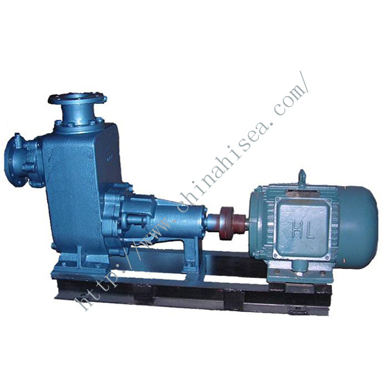 CWZ Marine Horizontal Pump