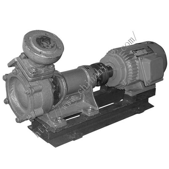 1W(Z) Marine self-priming Pump