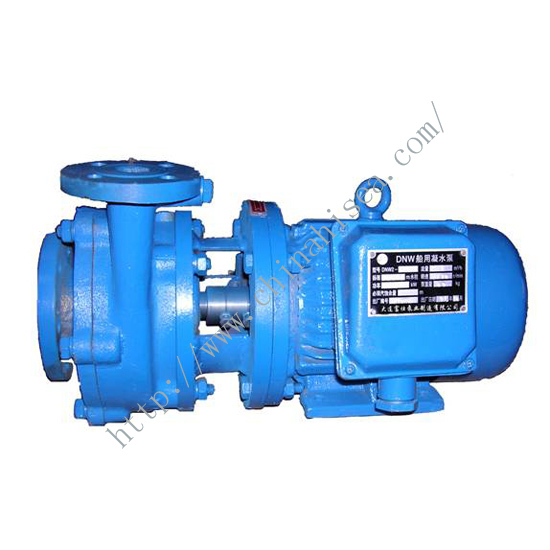 DNW Marine Horizontal Condensate Pump