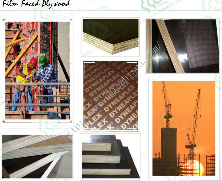 Formwork Plywood