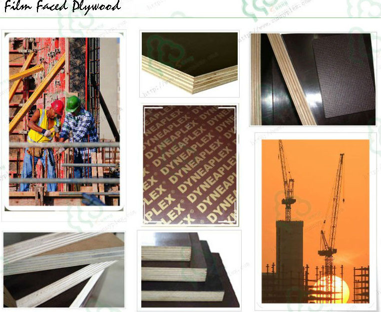 China construction Plywood formwork