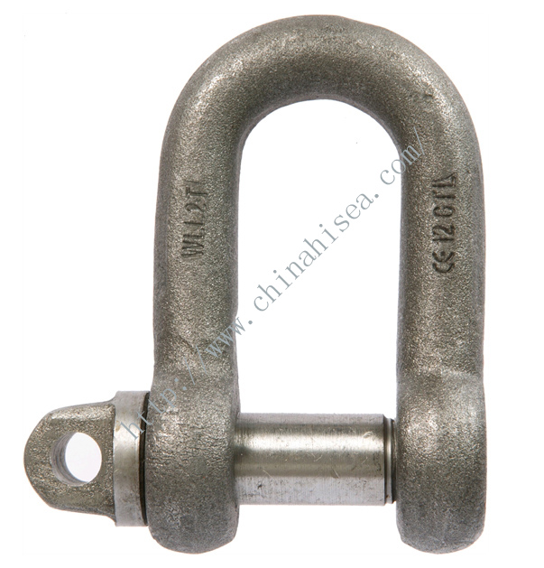 Large Dee Shackles with Screw Collar Pin