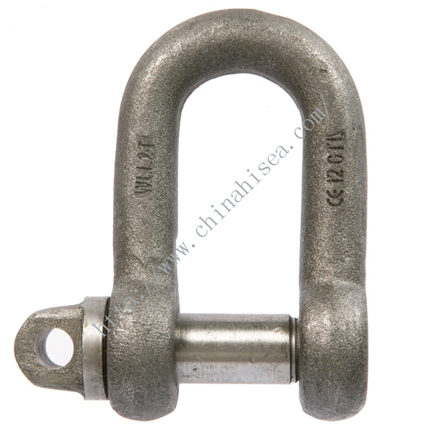 Small Dee Shackles with Screw Collar Pin