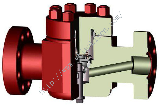 Check Valve - Poppet Type.jpg