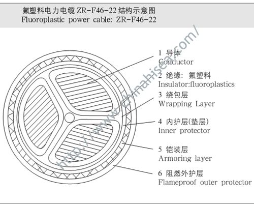 ZR-F46-22 Structure.jpg