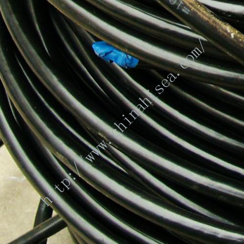 leading wire.jpg