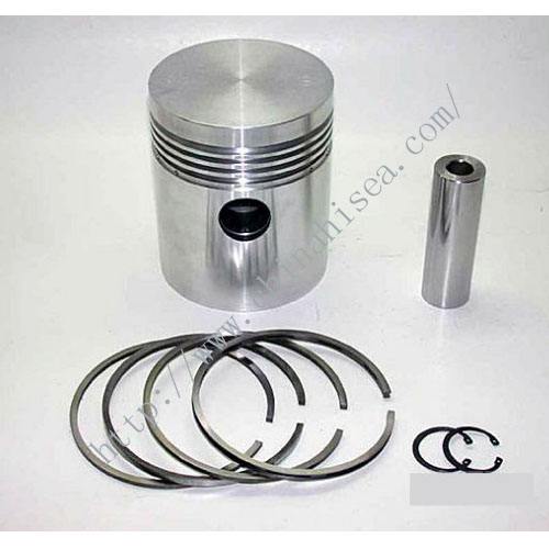 Engine piston and piston ring.jpg