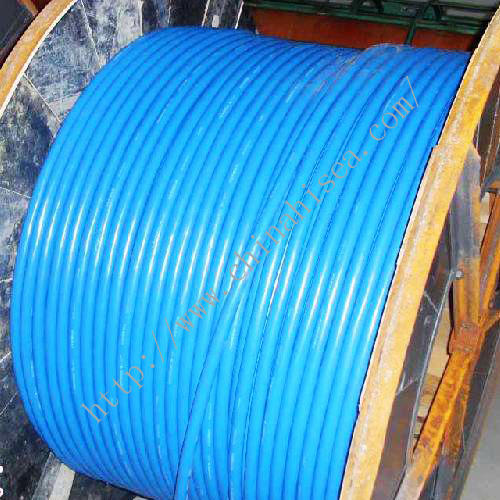 XLPE insulated Marine control cable show.jpg