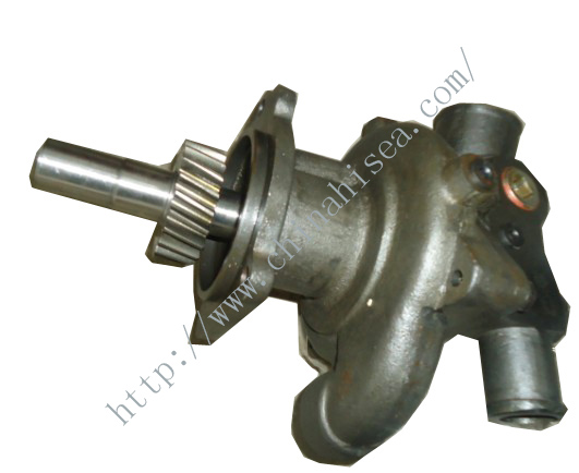 Cummins water pump 3098964