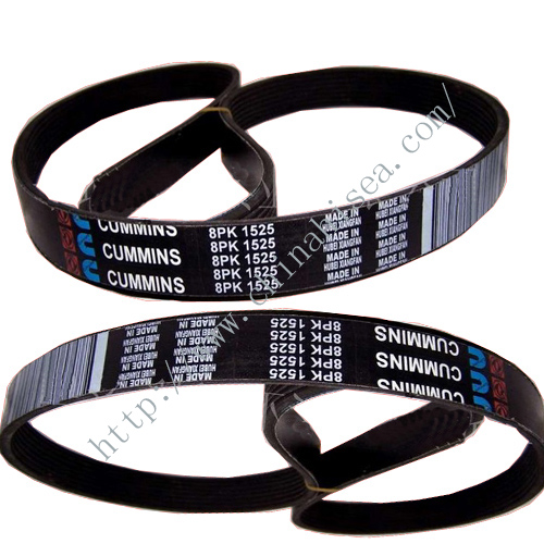 Cummins belt.jpg