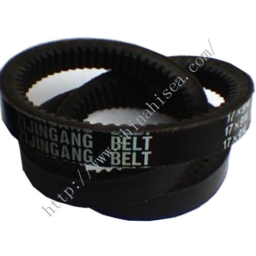  v-ribbed belt