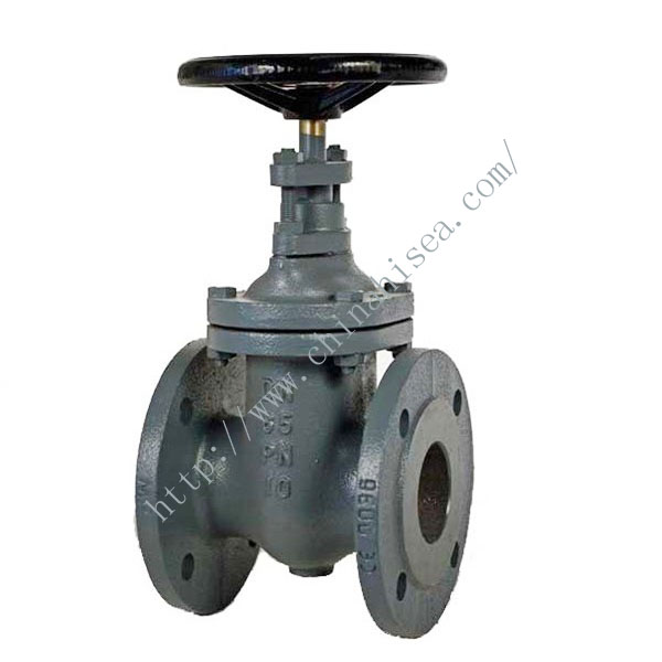 Marine DIN 3202 F4 Cast Iron Valve