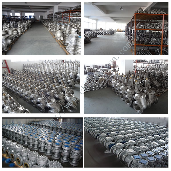 Side-mounted Eccentric Half Ball Valve Factory 