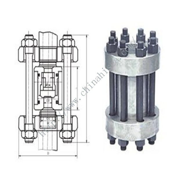 Wafter High Pressure Check Valve Working Theory