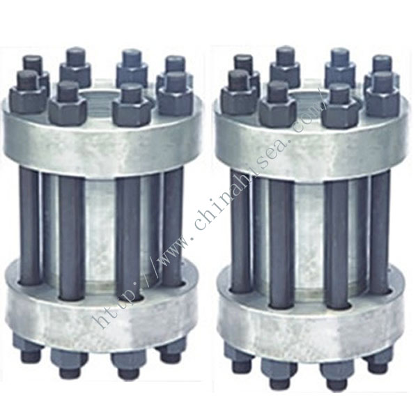 Wafter High Pressure Check Valve