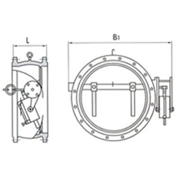 Butterfly Type Non-slam Check Valve Working Theory
