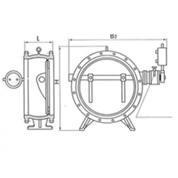 Butterfly Type Non-slam Check Valve Stereogram 