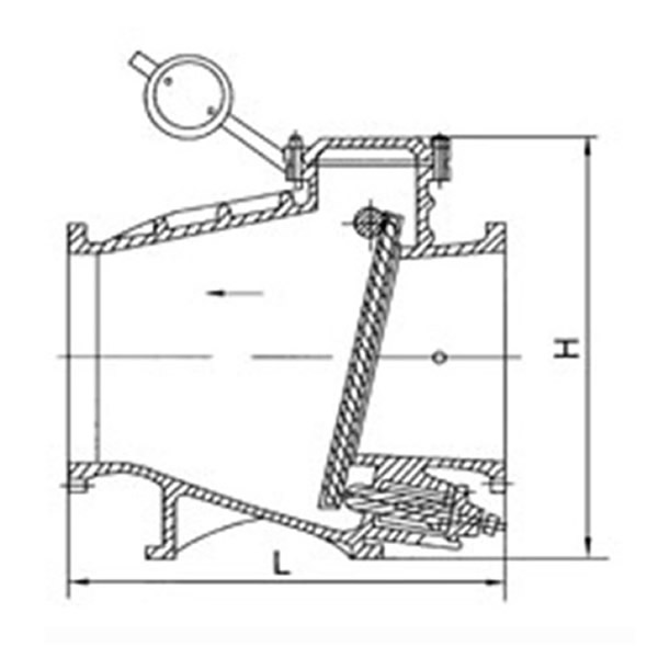 HH44X Check Valve Pictorial Diagram