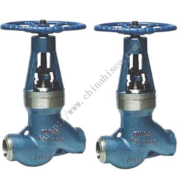 High Temperature High Pressure Power Station Globe Valve