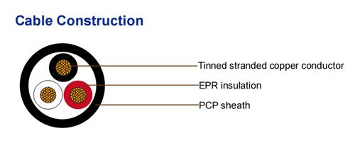 DPNP-Structure.jpg