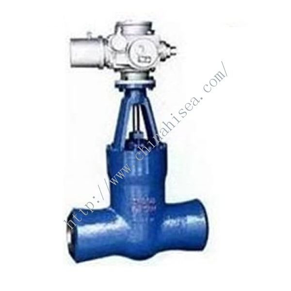 Electric Welding Gate Valve Sample