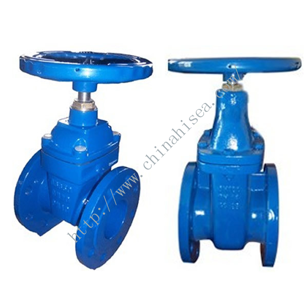 Rising Stem Cast Iron Gate Valve Different Side 