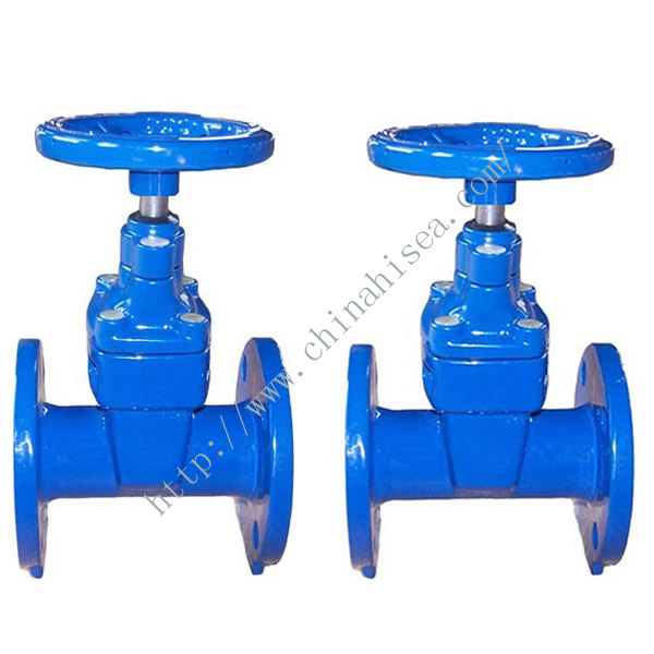 Rising Stem Cast Iron Gate Valve