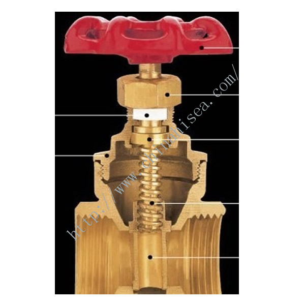 Brass Screw Thread Gate Valve Inner Side 