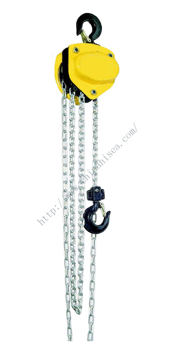 Chain Hoist with capacity 500kg to 30 tonnes					