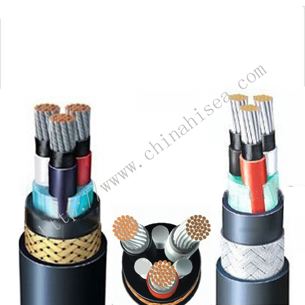 IEEE 1580 type P 1kv Power Cable sample4.jpg