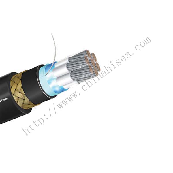 IEEE 1580 Type P 1kV Flame retardant Power Cable show.jpg