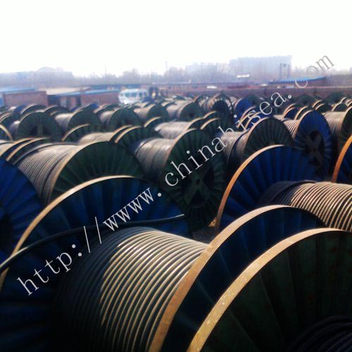 marine cable show.jpg