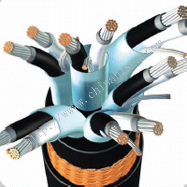 IEEE 1580 type P 1kv Signal Cable sample1.jpg