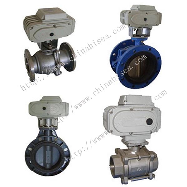 China Electric Valve Actuator With Valve