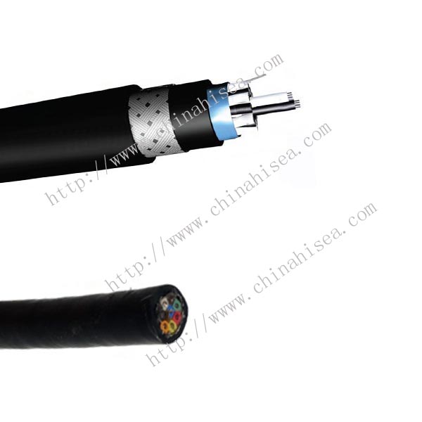 250V BS 6883 Collectively Screen Instrumentation & Control Cable sample.jpg