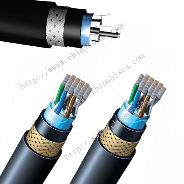 250V BS 7917 Armored Instrumentation & Control Cable sample.jpg