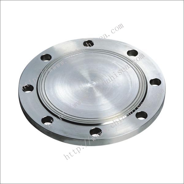 stainless-steel-blind-flanges-sample.jpg