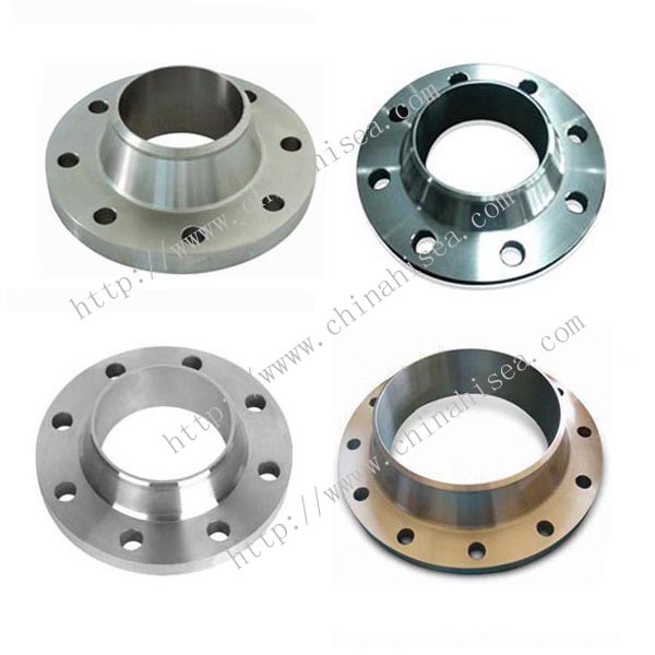 Stainless Steel Weld Neck Flanges