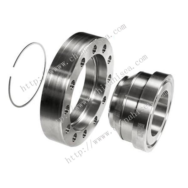 Stainless-steel-Swivel-Ring-Flanges-show.jpg