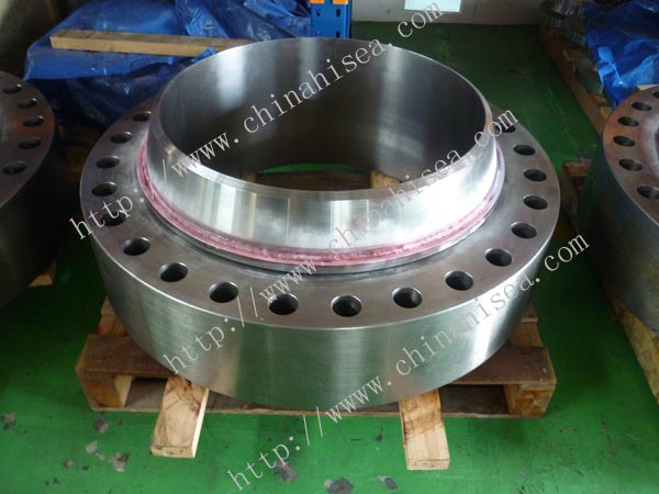 Stainless-steel-Swivel-Ring-Flanges-store.jpg