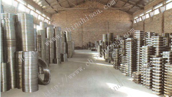 stainless-steel-ring-joint-flanges-store.jpg