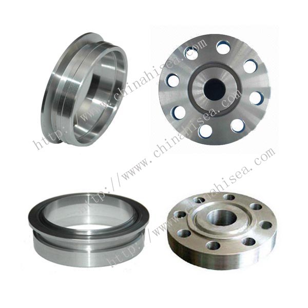 Stainless Steel O Ring Flange
