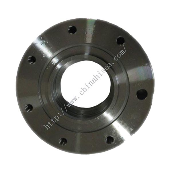  A234 Carbon Steel SW Flanges