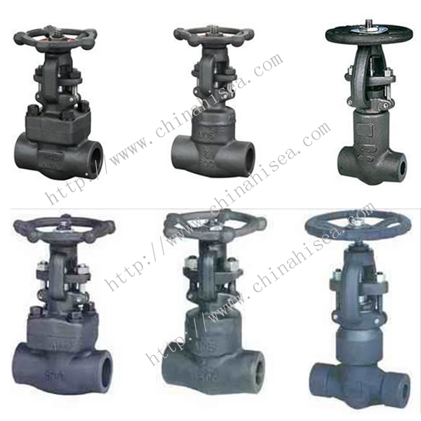 Forged Steel Valve