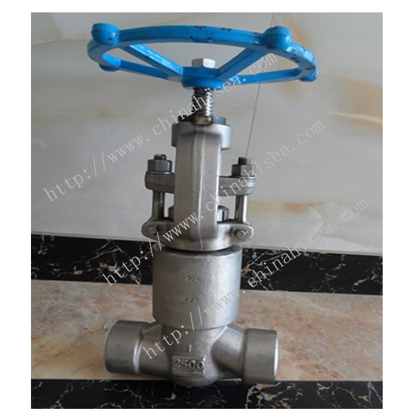 High Pressure Globe Valve Sample