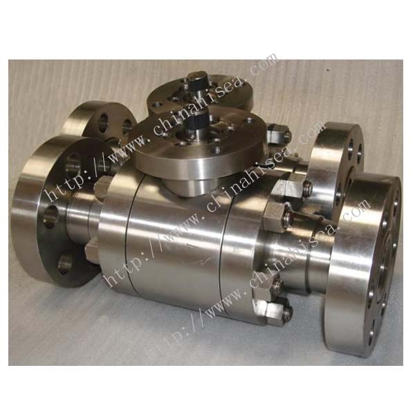 Forged Steel Floating Ball Valve Sample 