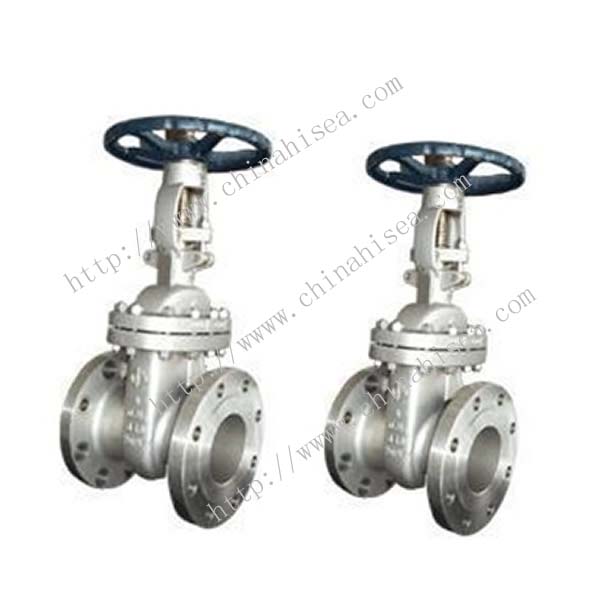 API603 Stainless Steel Valve